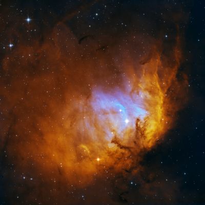 Tulip Nebula