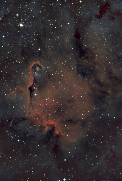 IC1396 - Хобот слона