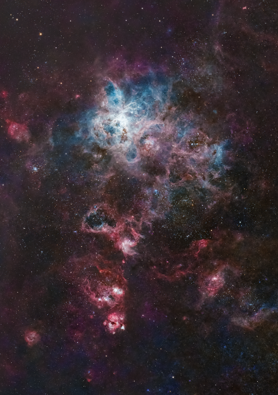 The Tarantula Nebula (NGC 2070)