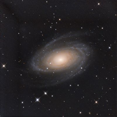 M81