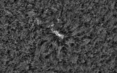 2020.05.01 Sun AR12760 H-Alpha
