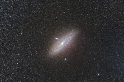 M31