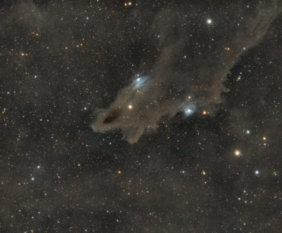 LDN1235 - Dark Shark Nebula