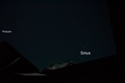 „Два пса“ (созвездия). 