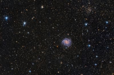 NGC 6946 - Fireworks Galaxy - Chuck Novice