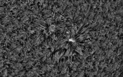 2020.05.02 Sun AR12760 H-Alpha