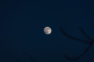 Вечерняя Луна