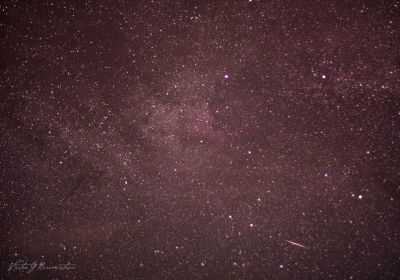 NGC 7000 Северная Америка