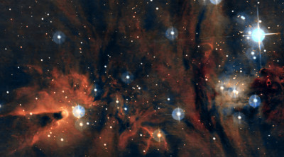 NGC 2264. Christmas tree nebula 