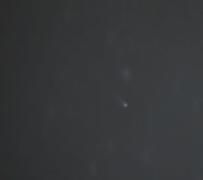 C2019 U5 PANSTARRS  12зв.в