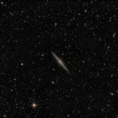 NGC891