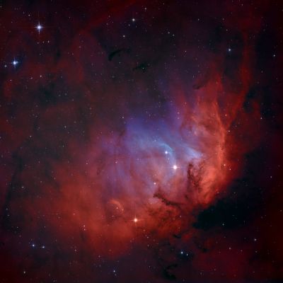 Tulip Nebula