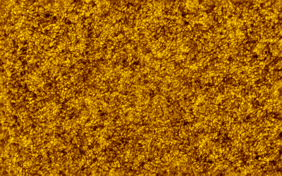 2019.08.24 Sun granulation color