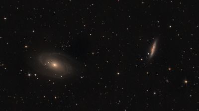m81 + m82