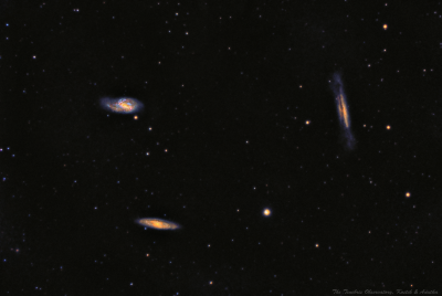 The Leo Triplet