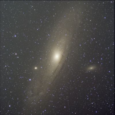 M31