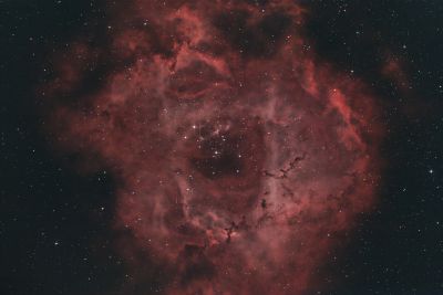 NGC 2237 - Rosette Nebula