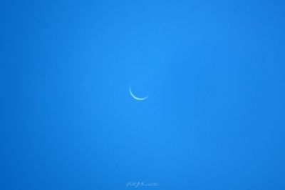 Венера на дневном небе