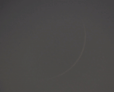 Пролет птиц на фоне очень тонкой Луны 2,6%. 30.06.23. Gif