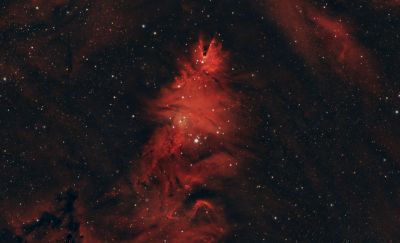 NGC 2264 Рождественская елка