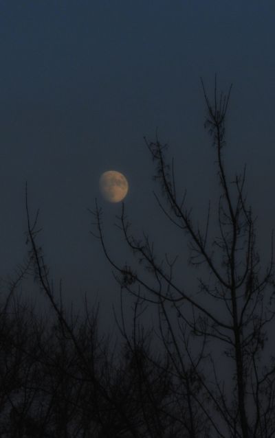 Луна 9 ноября 2019 года. 