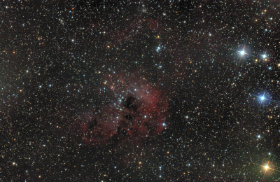 IC 410 Головастики