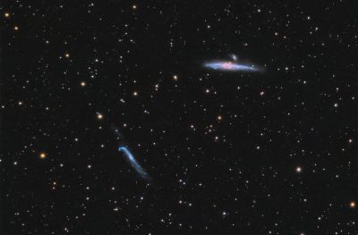 Кит и Хоккейная клюшка