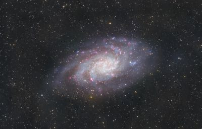 M33