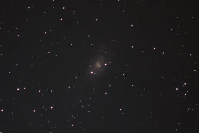 NGC2403