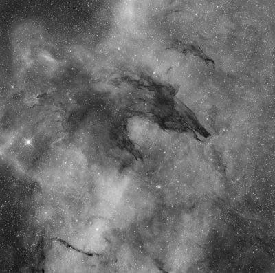 Space bear (more exp, full size)