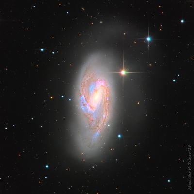 Галактика M66 в фильтрах LRGB