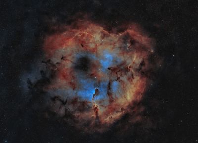 IC 1396