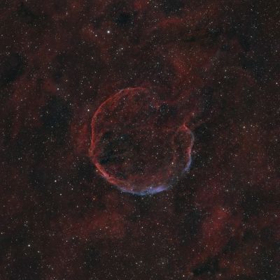 LBN 576 Чеснок