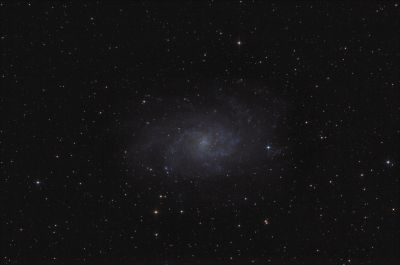 M33