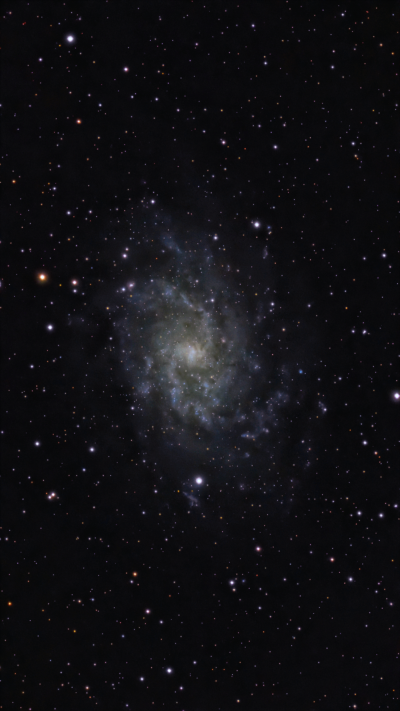 Спиральная галактика Треугольника (M 33, NGC 598)