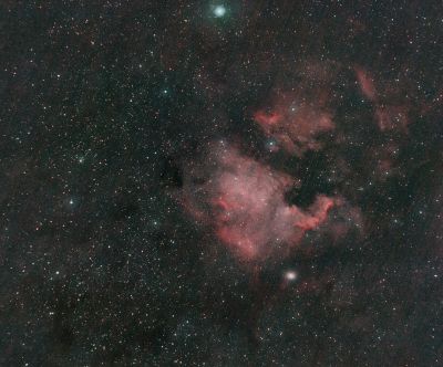 Северная Америка (NGC 7000)