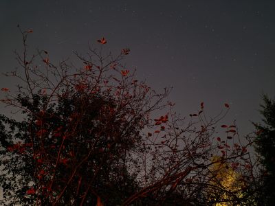 Осенняя ночь 