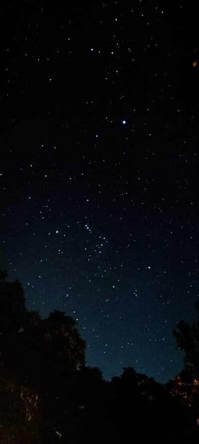 Orion - Astrophotography