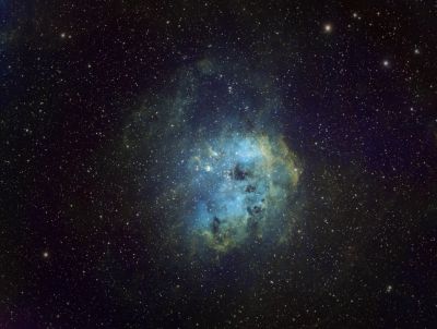 IC 410 - Головастики