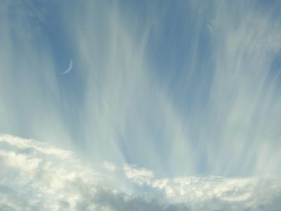 Без названия