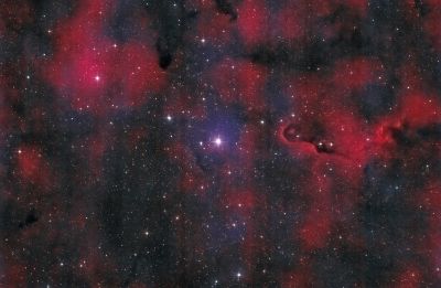 IC 1396 - Elephant's Trunk Nebula - Chuck Novice