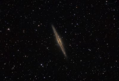 NGC891