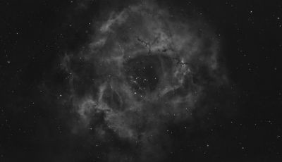 NGC 2238 Rosette Nebula - Astrophotography