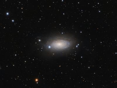 M63 Подсолнух, Гончие Псы