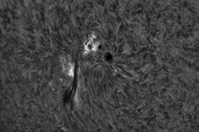 2020.06.06 Sun AR12765 H-Alpha