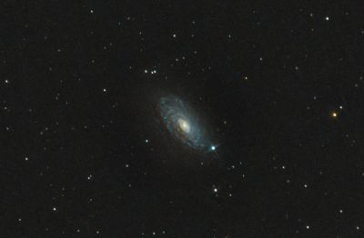 М63 Подсолнух