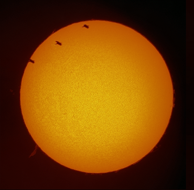 Солнце c пролетом птички от 17.03.2023