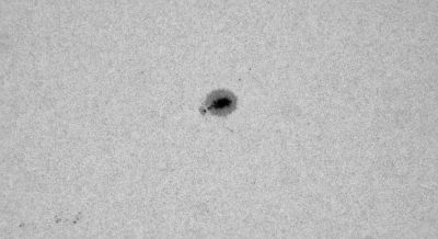 Солнечные пятна 23.09.2025