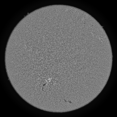 2020.06.09 Sun Full Disk H-Alpha