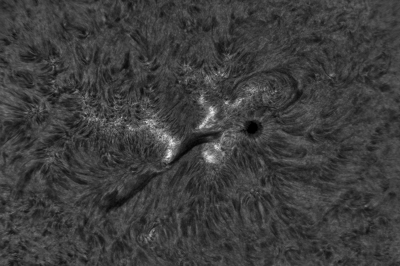 2020.06.10 Sun AR12765 H-Alpha